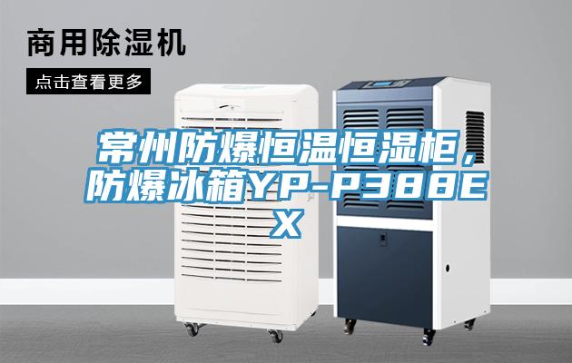 常州防爆恒温恒湿柜，防爆冰箱YP-P388EX