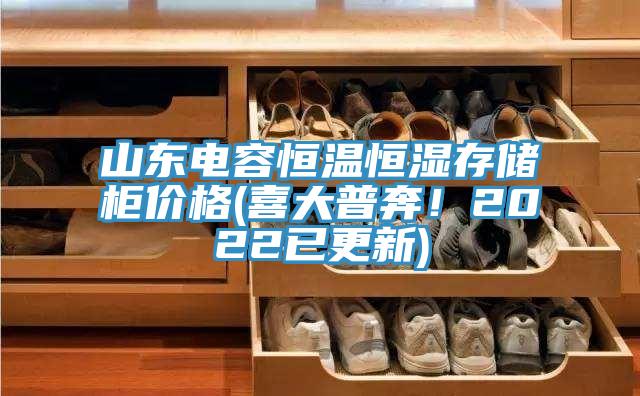 山东电容恒温恒湿存储柜价格(喜大普奔！2022已更新)