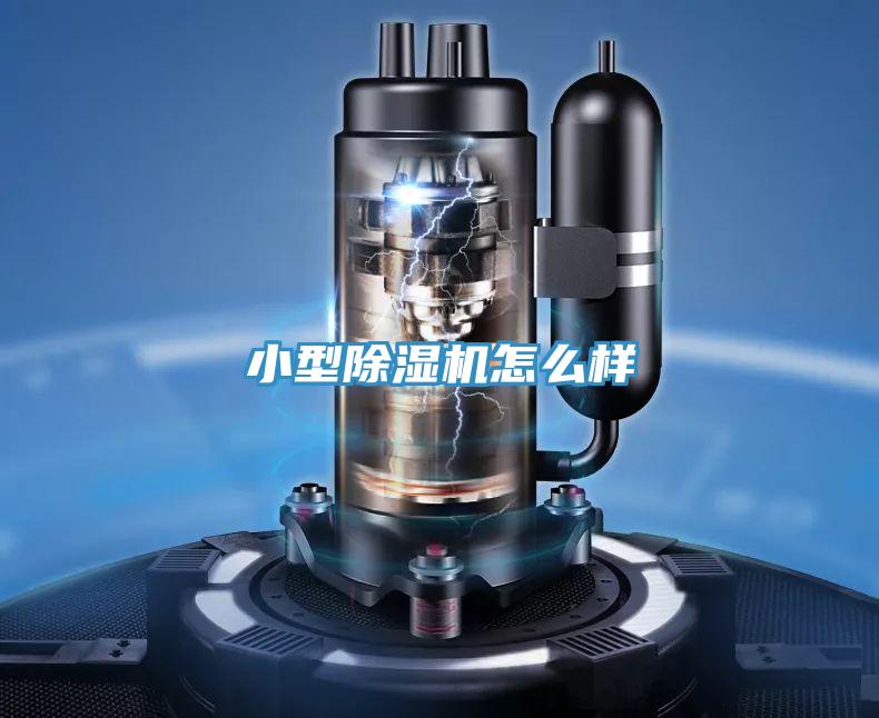 小型泡芙短视频APP官方下载地址怎么样