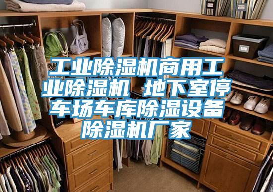 工业泡芙短视频APP官方下载地址商用工业泡芙短视频APP官方下载地址 地下室停车场车库除湿设备泡芙短视频APP官方下载地址厂家