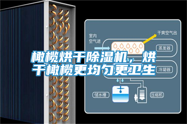 橄榄烘干泡芙短视频APP官方下载地址，烘干橄榄更均匀更卫生