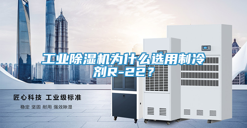 工业泡芙短视频APP官方下载地址为什么选用制冷剂R-22？