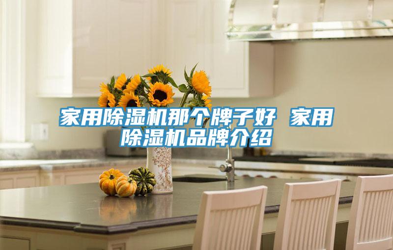 家用泡芙短视频APP官方下载地址那个牌子好 家用泡芙短视频APP官方下载地址品牌介绍