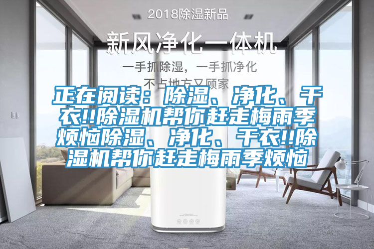 正在阅读：除湿、净化、干衣!!泡芙短视频APP官方下载地址帮你赶走梅雨季烦恼除湿、净化、干衣!!泡芙短视频APP官方下载地址帮你赶走梅雨季烦恼