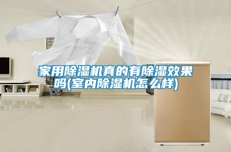 家用泡芙短视频APP官方下载地址真的有除湿效果吗(室内泡芙短视频APP官方下载地址怎么样)