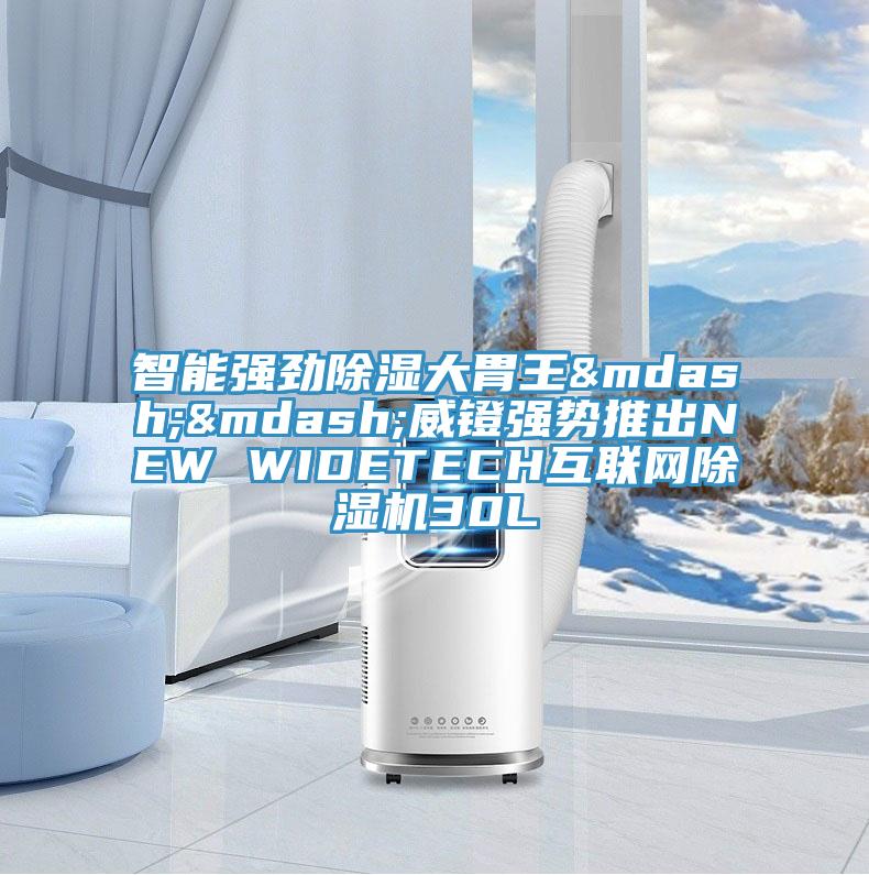 智能强劲除湿大胃王&mdash;&mdash;威镫强势推出NEW WIDETECH互联网泡芙短视频APP官方下载地址30L
