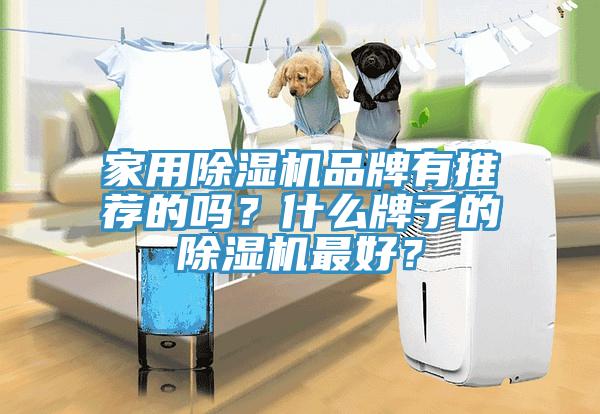 家用泡芙短视频APP官方下载地址品牌有推荐的吗？什么牌子的泡芙短视频APP官方下载地址最好？