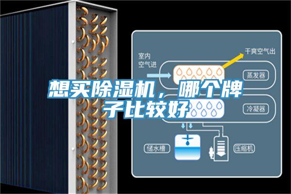 想买泡芙短视频APP官方下载地址，哪个牌子比较好