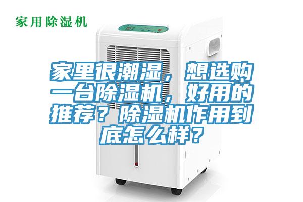 家里很潮湿，想选购一台泡芙短视频APP官方下载地址，好用的推荐？泡芙短视频APP官方下载地址作用到底怎么样？