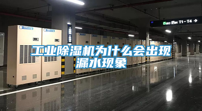 工业泡芙短视频APP官方下载地址为什么会出现漏水现象