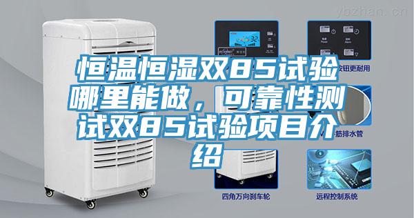 恒温恒湿双85试验哪里能做，可靠性测试双85试验项目介绍