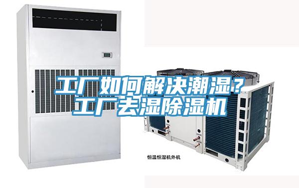 工厂如何解决潮湿？工厂去湿泡芙短视频APP官方下载地址