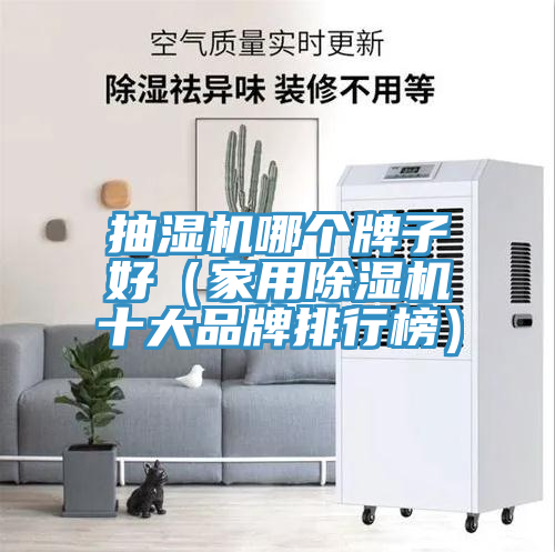抽湿机哪个牌子好（家用泡芙短视频APP官方下载地址十大品牌排行榜）