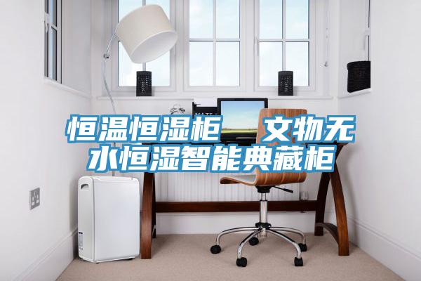 恒温恒湿柜  文物无水恒湿智能典藏柜