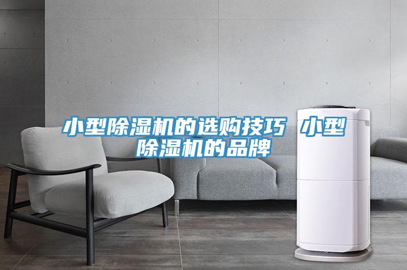 小型泡芙短视频APP官方下载地址的选购技巧 小型泡芙短视频APP官方下载地址的品牌