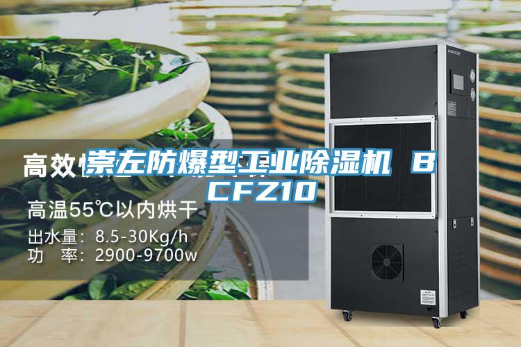 崇左防爆型工业泡芙短视频APP官方下载地址 BCFZ10