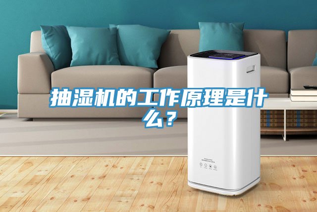 抽湿机的工作原理是什么？