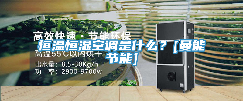恒温恒湿空调是什么？[曼能节能]
