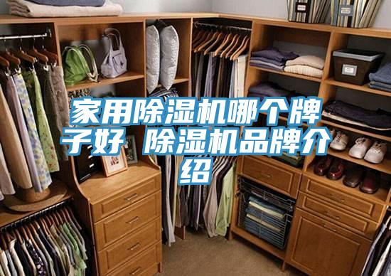 家用泡芙短视频APP官方下载地址哪个牌子好 泡芙短视频APP官方下载地址品牌介绍