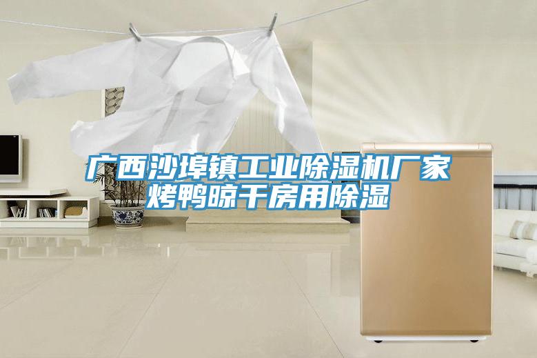 广西沙埠镇工业泡芙短视频APP官方下载地址厂家烤鸭晾干房用除湿