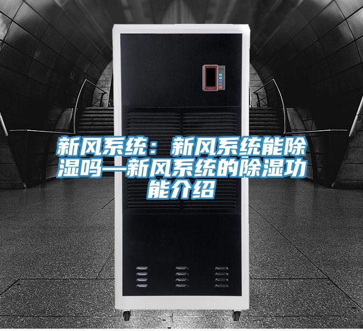 新风系统：新风系统能除湿吗—新风系统的除湿功能介绍