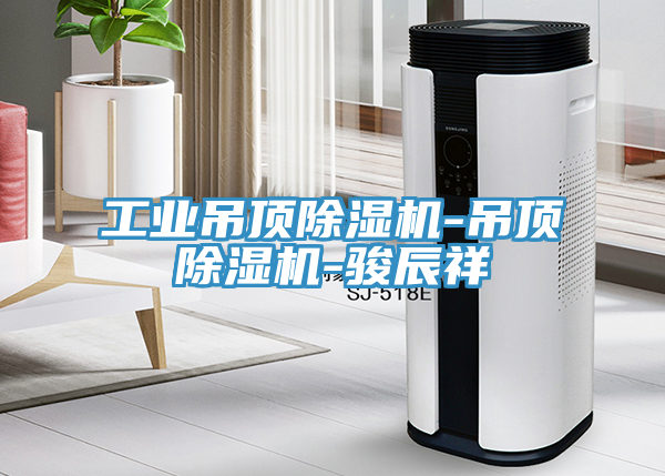 工业吊顶泡芙短视频APP官方下载地址-吊顶泡芙短视频APP官方下载地址-骏辰祥