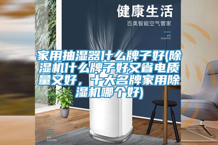 家用抽湿器什么牌子好(泡芙短视频APP官方下载地址什么牌子好又省电质量又好，十大名牌家用泡芙短视频APP官方下载地址哪个好)