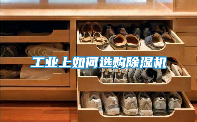 工业上如何选购泡芙短视频APP官方下载地址