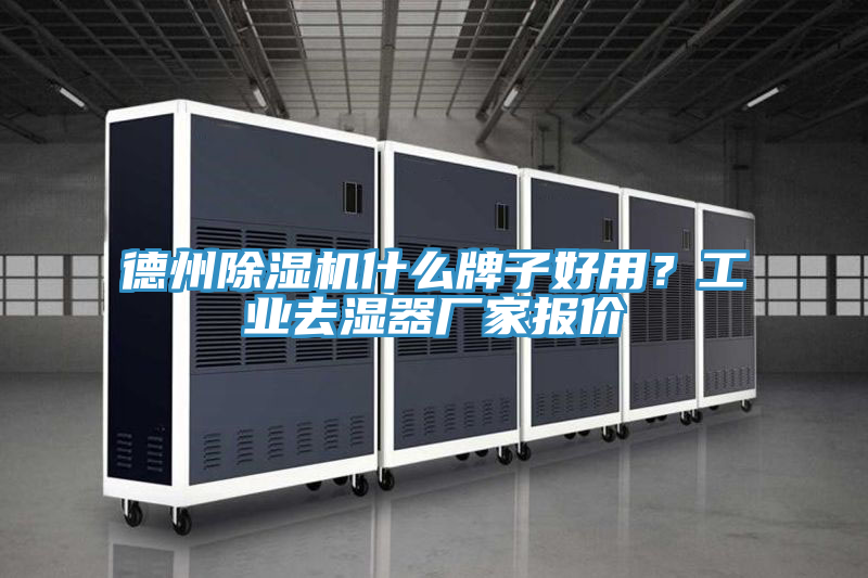 德州泡芙短视频APP官方下载地址什么牌子好用？工业去湿器厂家报价