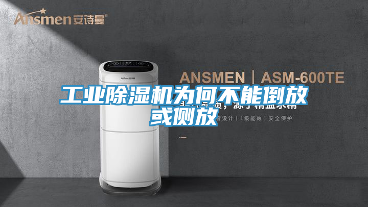 工业泡芙短视频APP官方下载地址为何不能倒放或侧放