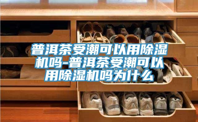 普洱茶受潮可以用泡芙短视频APP官方下载地址吗-普洱茶受潮可以用泡芙短视频APP官方下载地址吗为什么