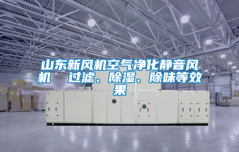 山东新风机空气净化静音风机  过滤、除湿、除味等效果