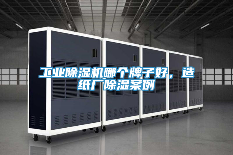 工业泡芙短视频APP官方下载地址哪个牌子好，造纸厂除湿案例