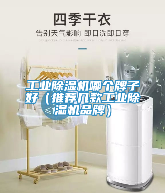 工业泡芙短视频APP官方下载地址哪个牌子好（推荐几款工业泡芙短视频APP官方下载地址品牌）