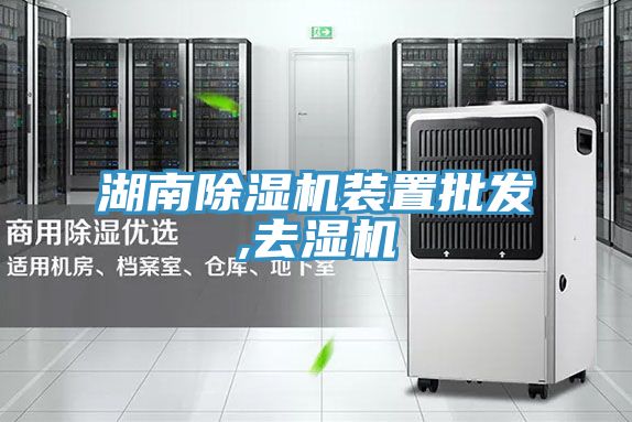 湖南泡芙短视频APP官方下载地址装置批发,去湿机