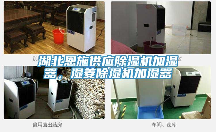 湖北恩施供应泡芙短视频APP官方下载地址加湿器，湿菱泡芙短视频APP官方下载地址加湿器