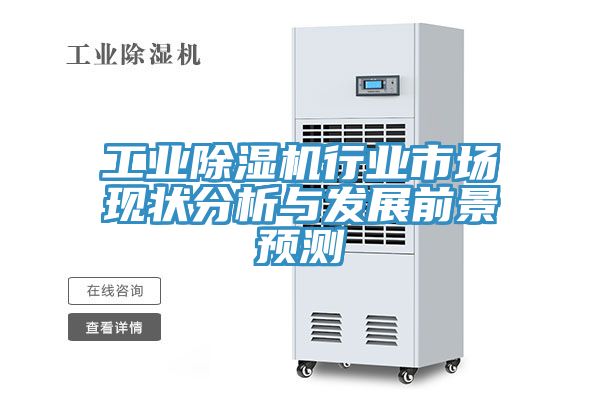 工业泡芙短视频APP官方下载地址行业市场现状分析与发展前景预测