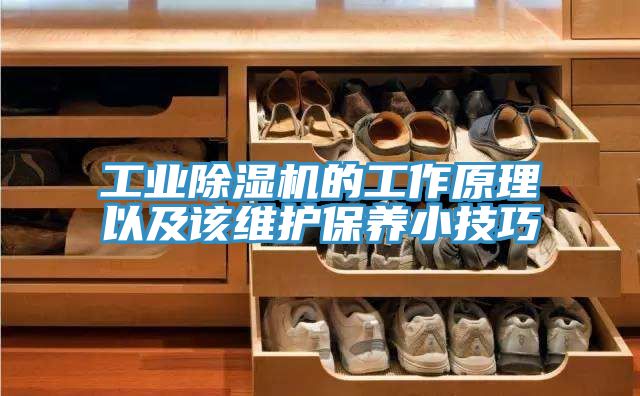 工业泡芙短视频APP官方下载地址的工作原理以及该维护保养小技巧