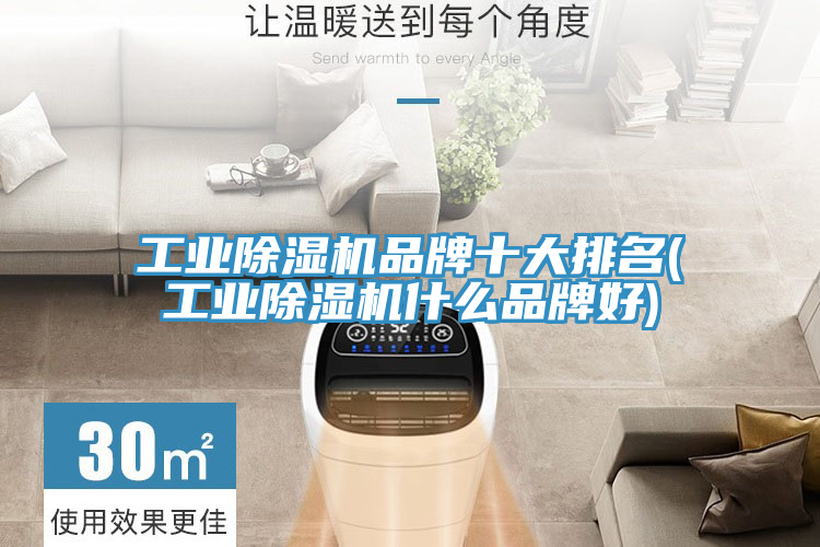 工业泡芙短视频APP官方下载地址品牌十大排名(工业泡芙短视频APP官方下载地址什么品牌好)