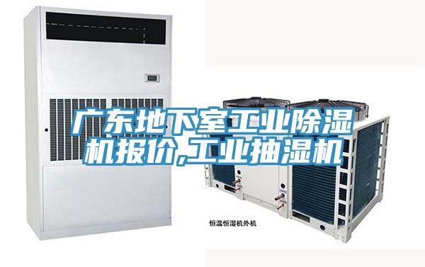 广东地下室工业泡芙短视频APP官方下载地址报价,工业抽湿机