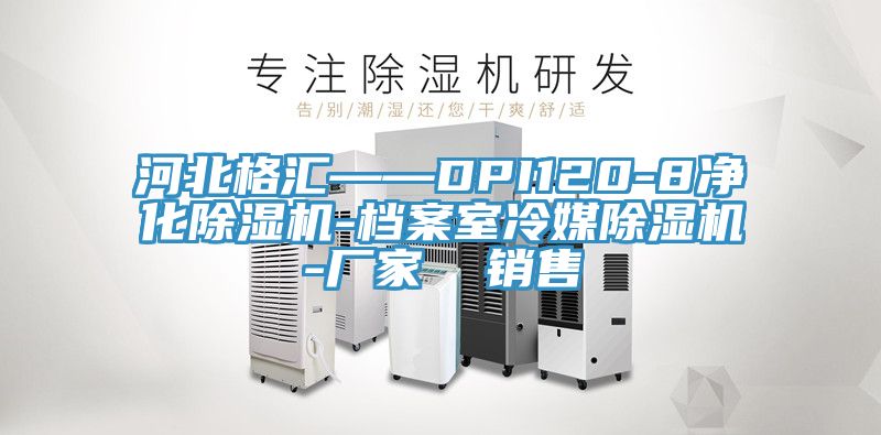 河北格汇——DPI120-8净化泡芙短视频APP官方下载地址-档案室冷媒泡芙短视频APP官方下载地址-厂家  销售