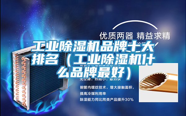 工业泡芙短视频APP官方下载地址品牌十大排名（工业泡芙短视频APP官方下载地址什么品牌最好）