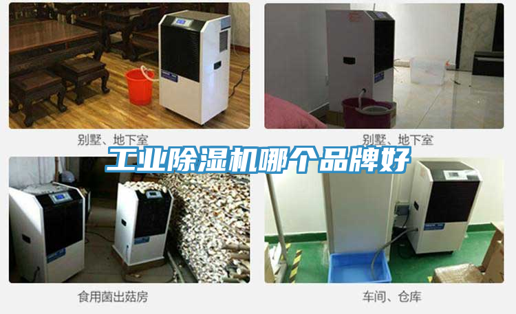 工业泡芙短视频APP官方下载地址哪个品牌好