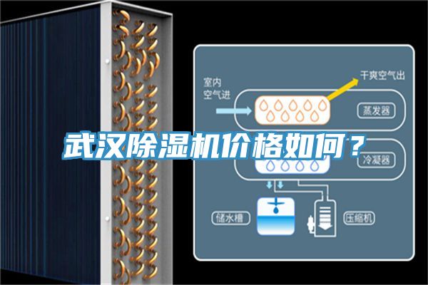 武汉泡芙短视频APP官方下载地址价格如何？