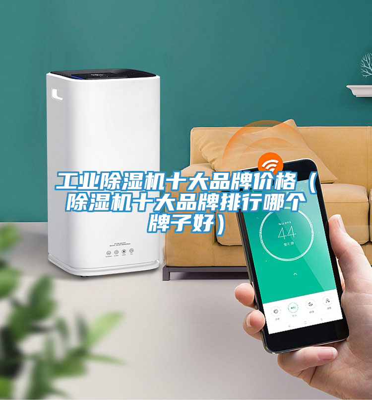 工业泡芙短视频APP官方下载地址十大品牌价格（泡芙短视频APP官方下载地址十大品牌排行哪个牌子好）