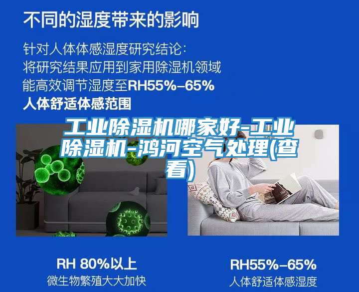 工业泡芙短视频APP官方下载地址哪家好-工业泡芙短视频APP官方下载地址-鸿河空气处理(查看)