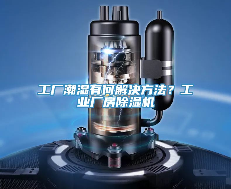 工厂潮湿有何解决方法？工业厂房泡芙短视频APP官方下载地址