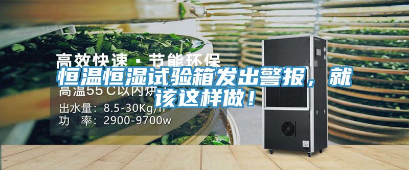 恒温恒湿试验箱发出警报，就该这样做！