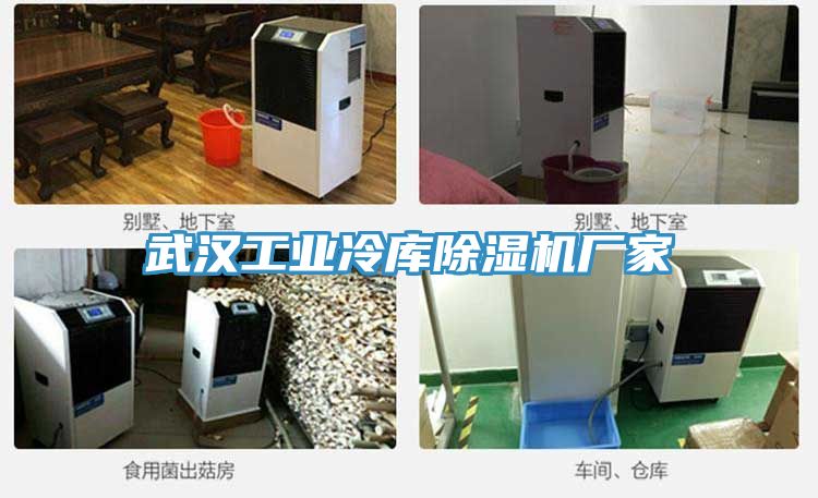 武汉工业冷库泡芙短视频APP官方下载地址厂家