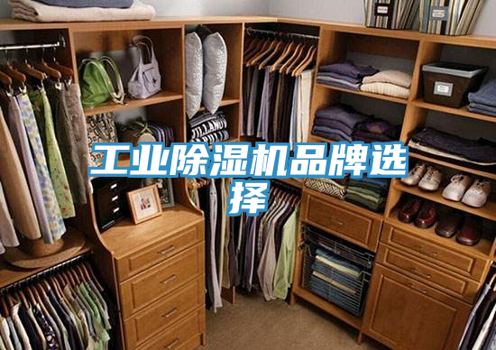 工业泡芙短视频APP官方下载地址品牌选择